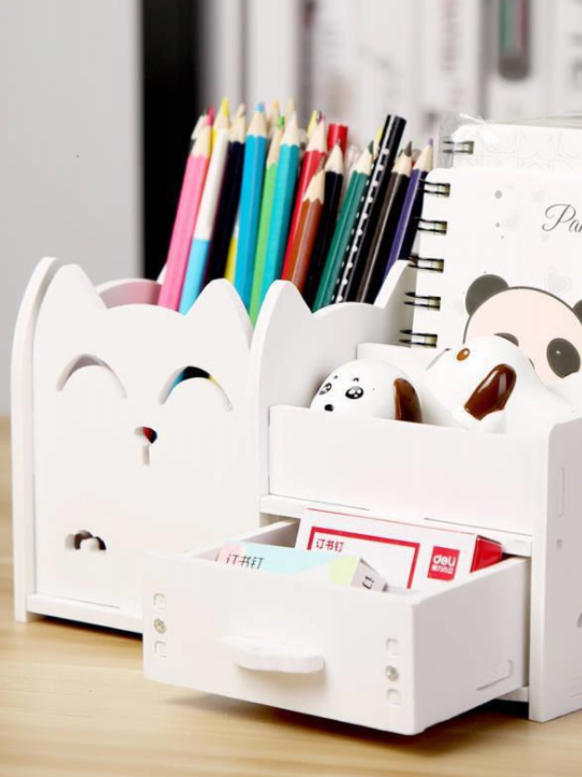 Multi-Function Desktop Organizer